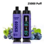 Bang King 25K Shisha Hookah DTL Vape: Complete Guide and Review月 日 mp