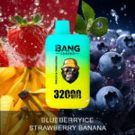 Bang Leader 32000 Puffs Double Flavor: Complete Review & Guidebang king puffs double pod double mesh doub