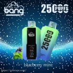 Bang 25000 Puffs Dual Mesh: Honest Review, Features & Buying Guidechina factory wholesal