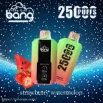 Bang 25000 Puffs Dual Mesh: Honest Review, Features & Buying Guidechina factory wholesal