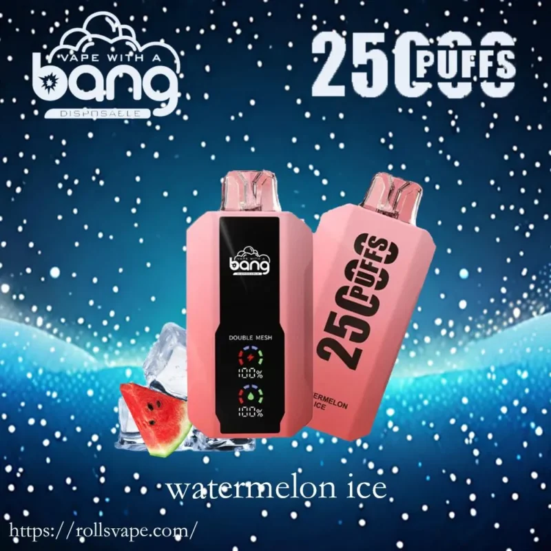 Bang 25000 Puffs Dual Mesh: Honest Review, Features & Buying Guidechina factory wholesal