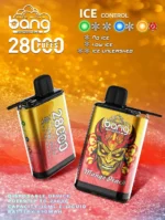 bangkingBang 28000 Puffs Disposable Vape Ice Control: Detailed Review and Buying Guidevaper disposable vape bang puffs pro bi