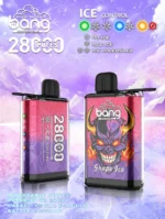 bangkingBang 28000 Puffs Disposable Vape Ice Control: Detailed Review and Buying Guidevaper disposable vape bang puffs pro bi