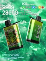 bangkingBang 28000 Puffs Disposable Vape Ice Control: Detailed Review and Buying Guidevaper disposable vape bang puffs pro bi